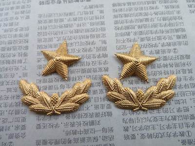 09--87早期武警将军肩章星星一对松枝一付（铜皮材质，松枝无背纹版） - 09--87早期武警将军肩章星星一对松枝一付（铜皮材质，松枝无背纹版）