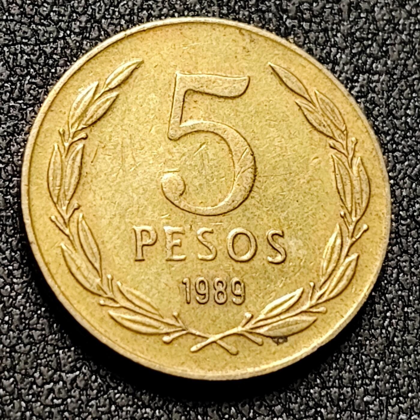 泉币菌-第132场-精品福利场 。