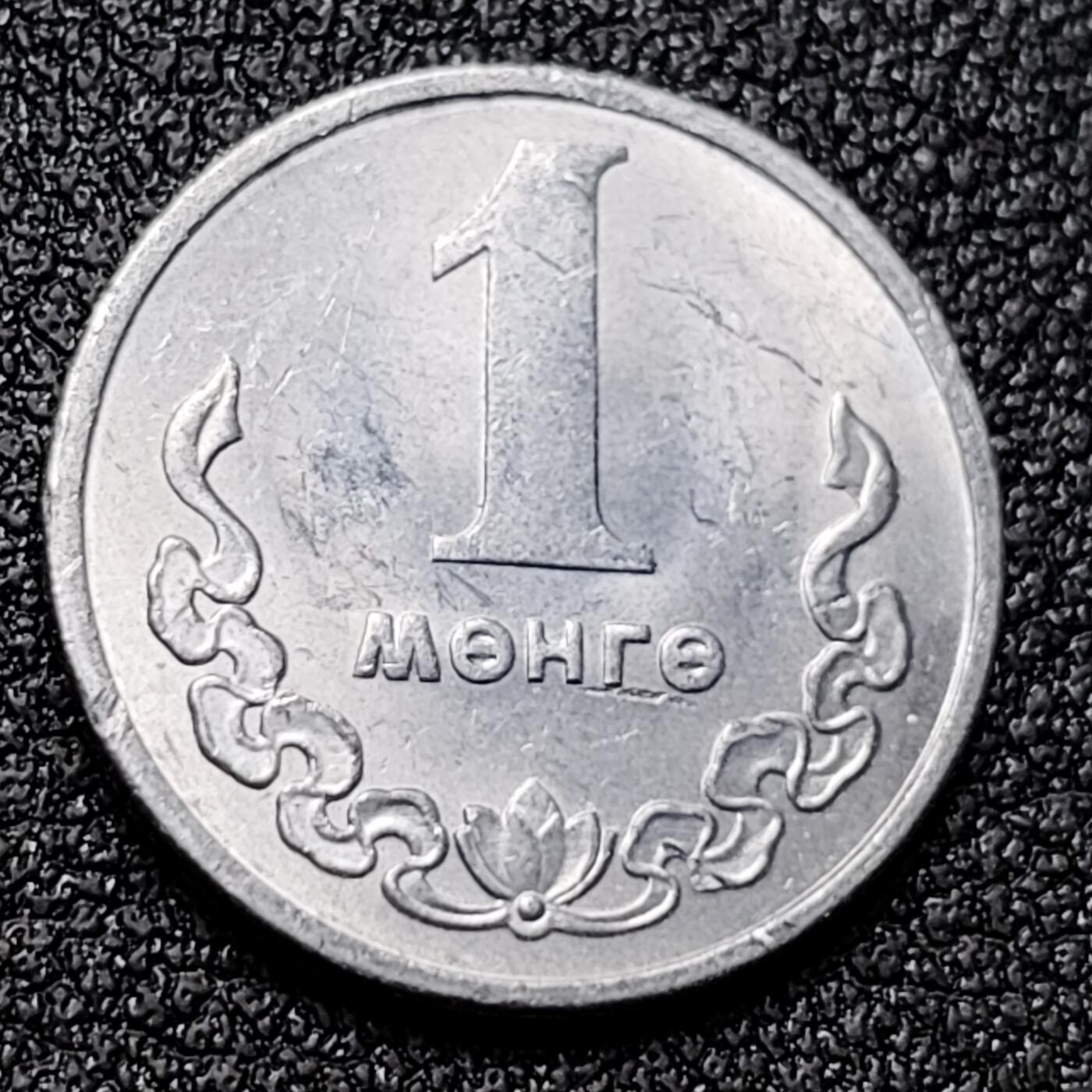 泉币菌-第131场-精品福利场 。