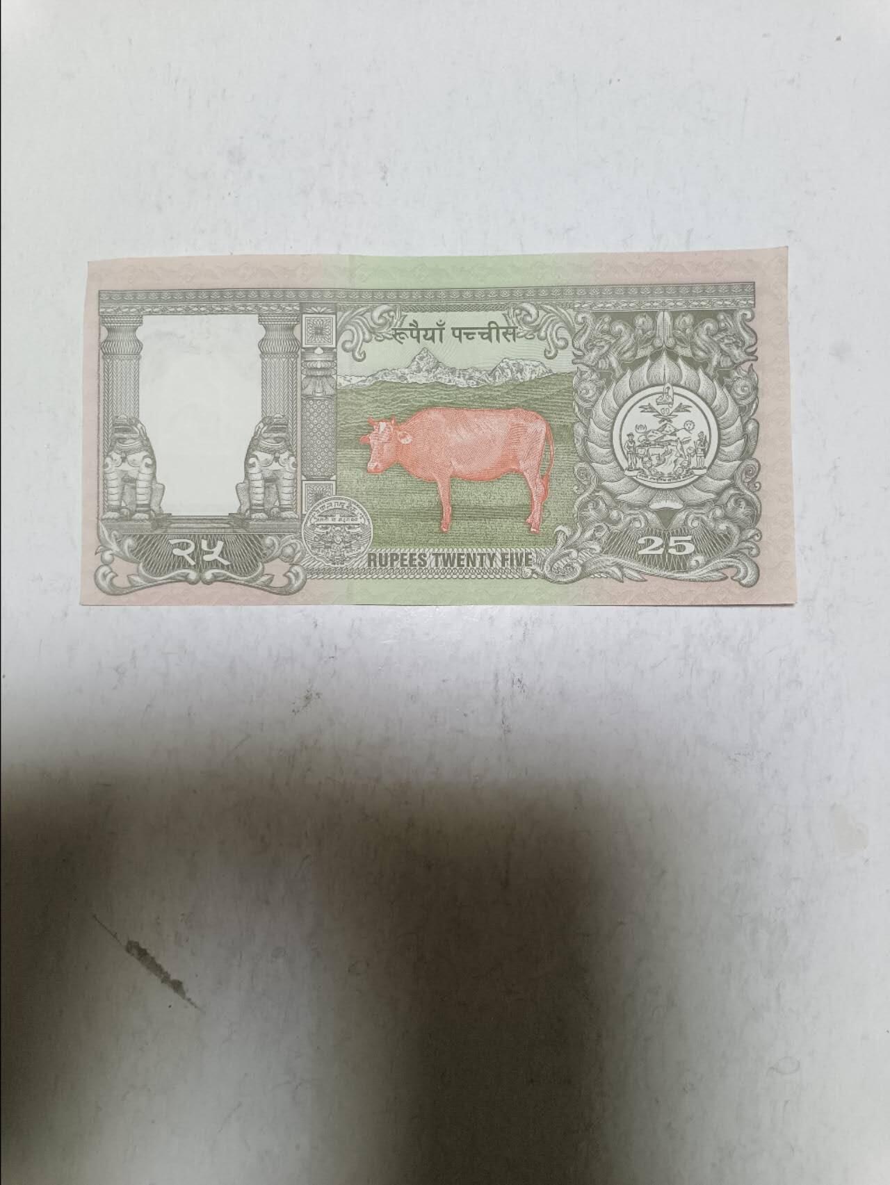 【20251122】非全新纸币第306场 尼泊尔25卢比