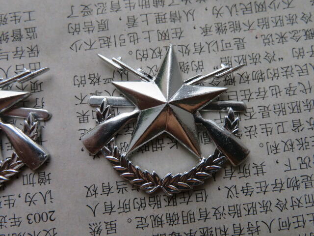 13--99中级士官花肩章符号一盒50付（原盒）