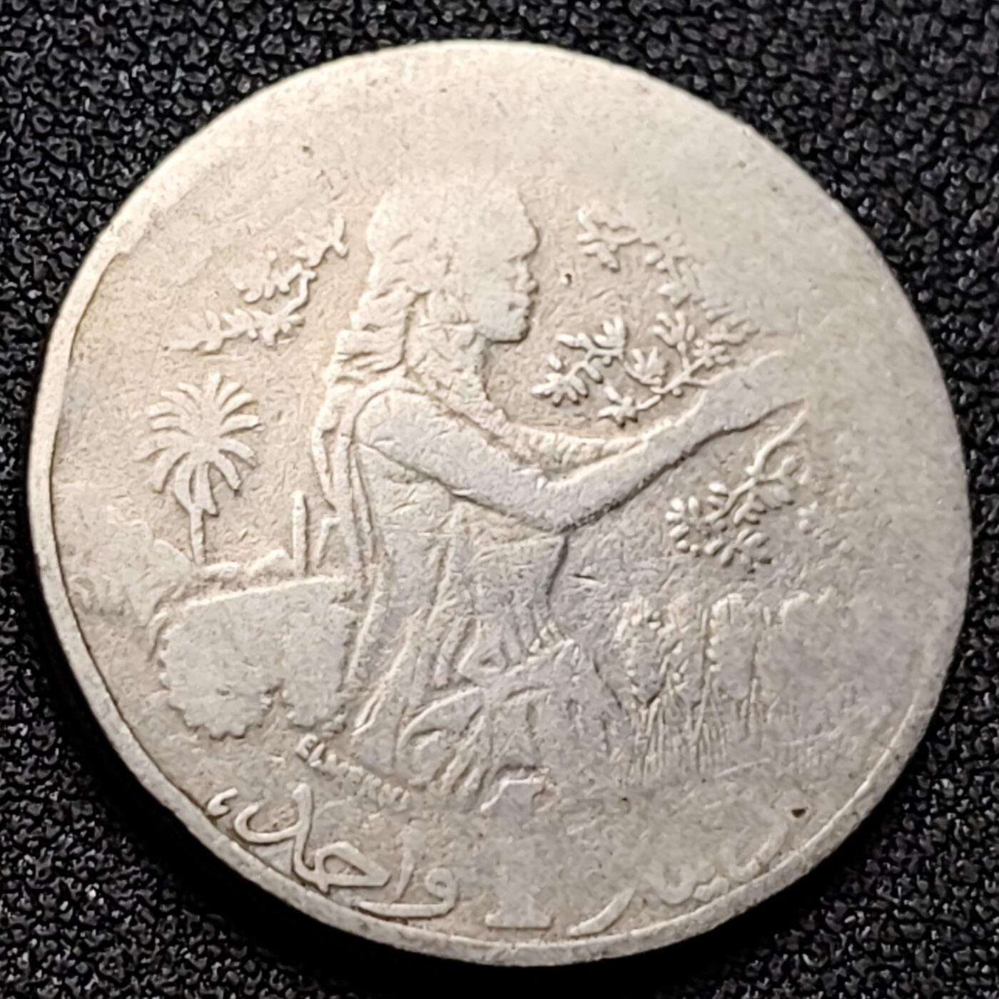 泉币菌-第131场-精品福利场 。