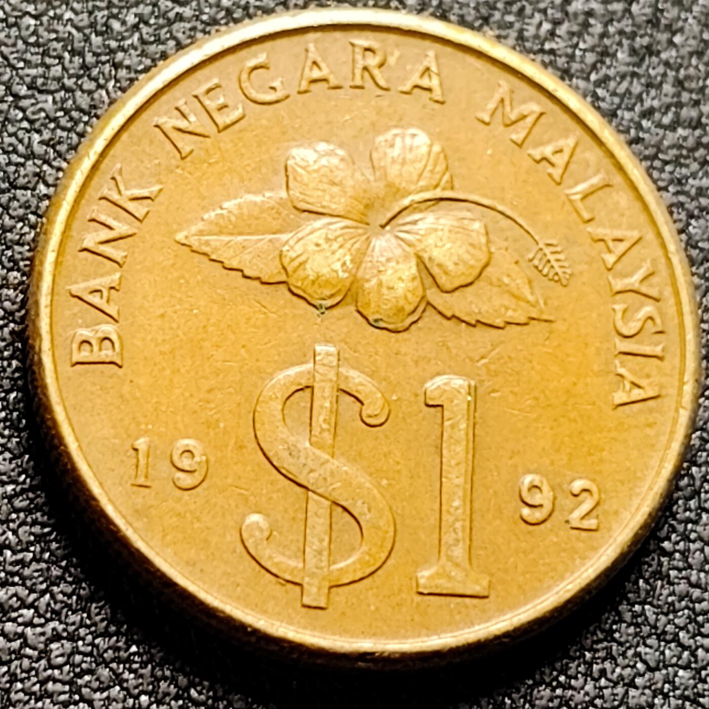 泉币菌-第132场-精品福利场 。