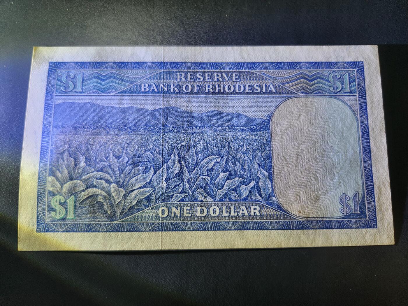 11月19号晚上8点 外国纸币自动截拍第61场 罗德西亚1971年1近新 人像水印