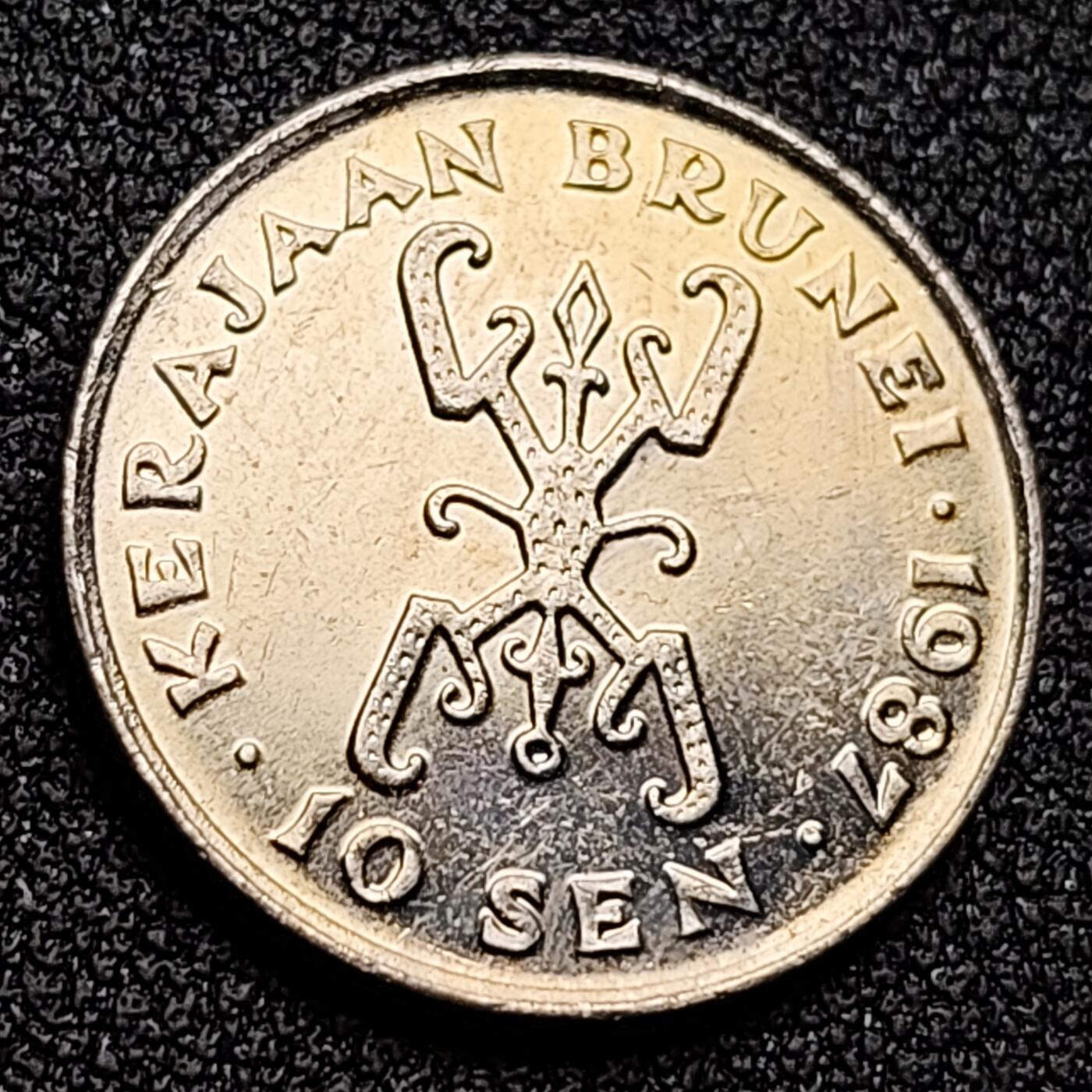 泉币菌-第132场-精品福利场 。