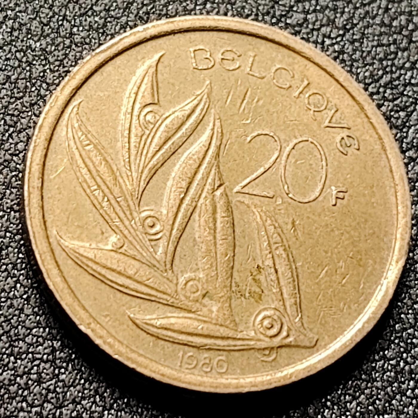 泉币菌-第131场-精品福利场 。