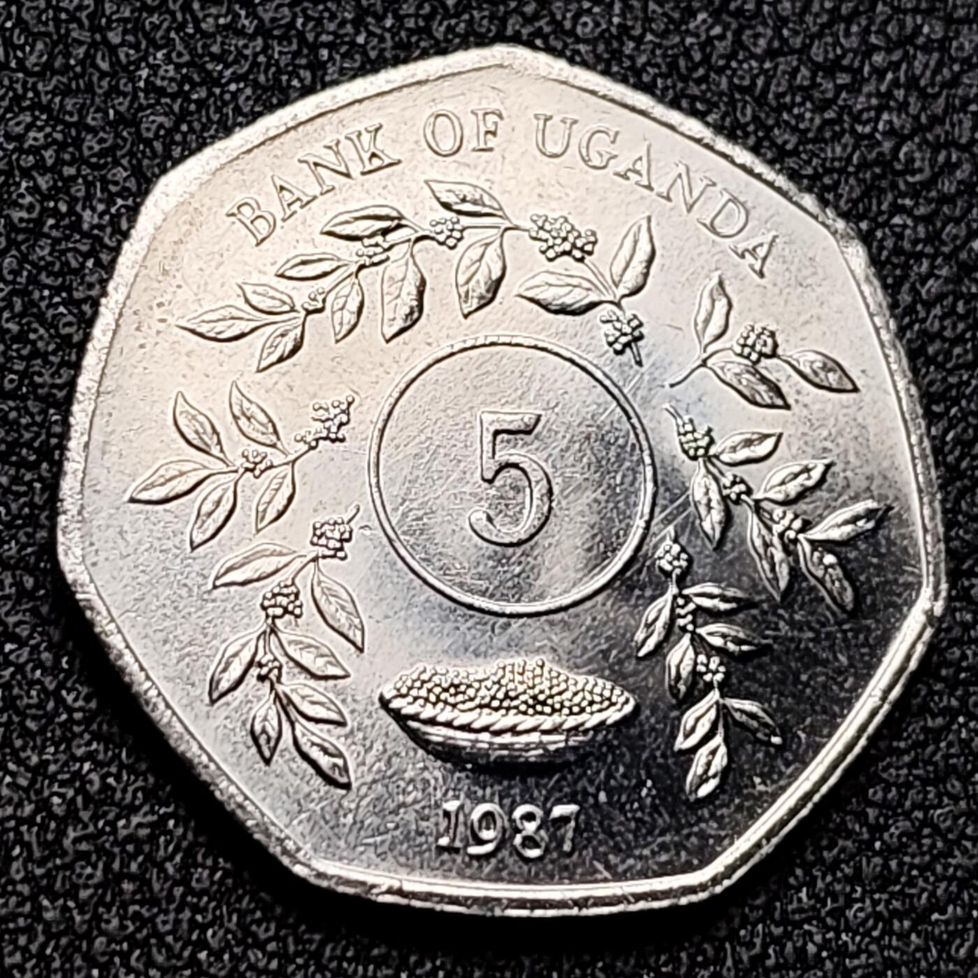 泉币菌-第131场-精品福利场 。