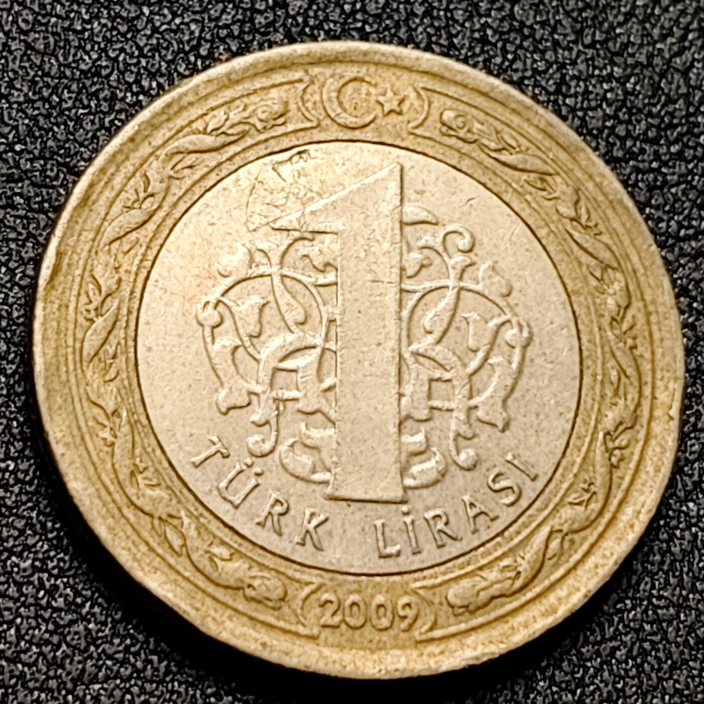 泉币菌-第131场-精品福利场 。