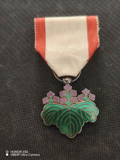 城南花开82场 - 青叶子单章