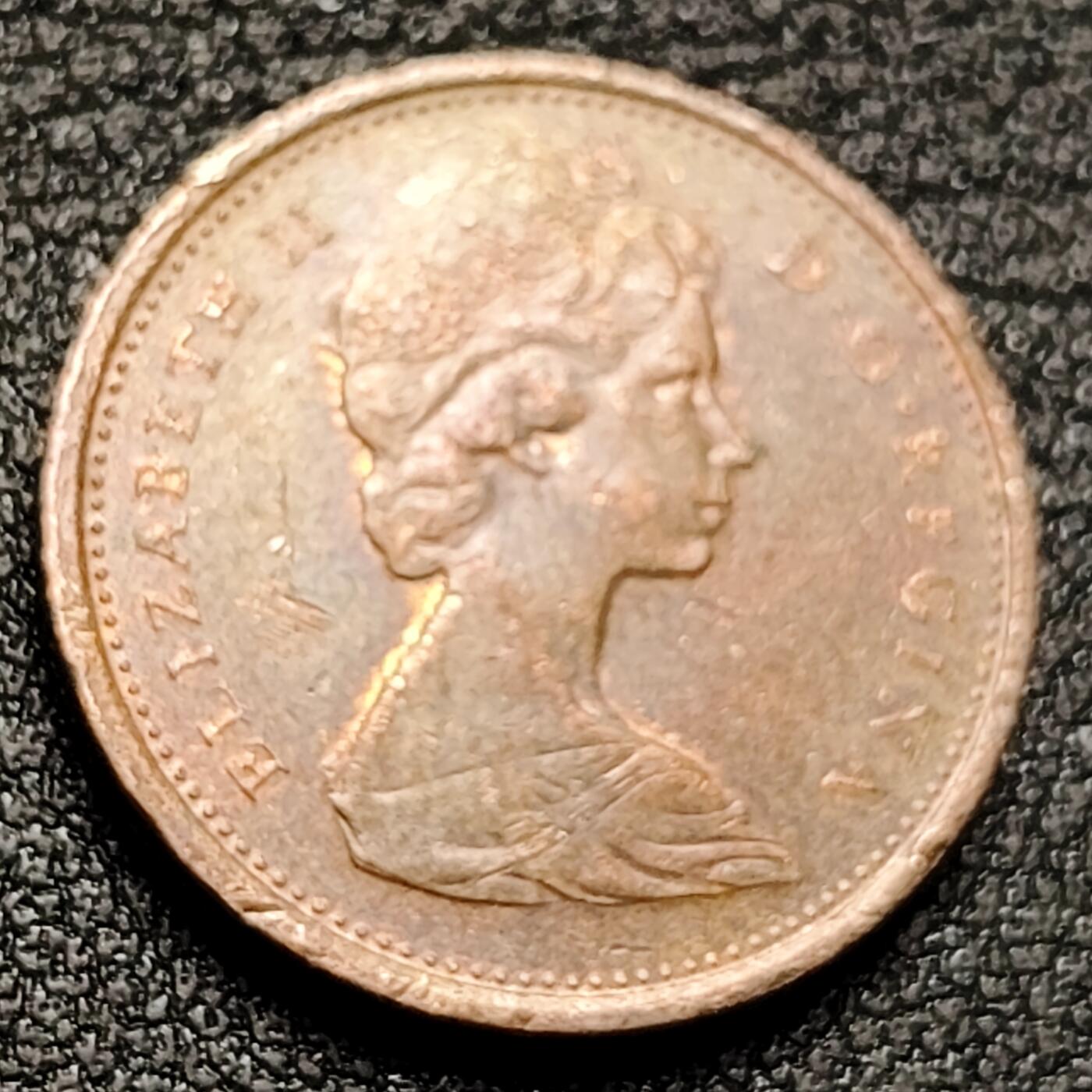 泉币菌-第131场-精品福利场 。