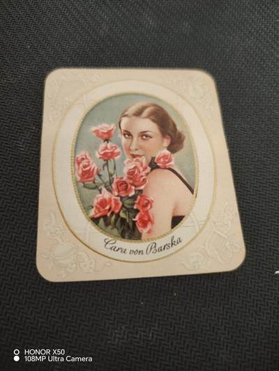 城南花开82场 - 烟牌外国人