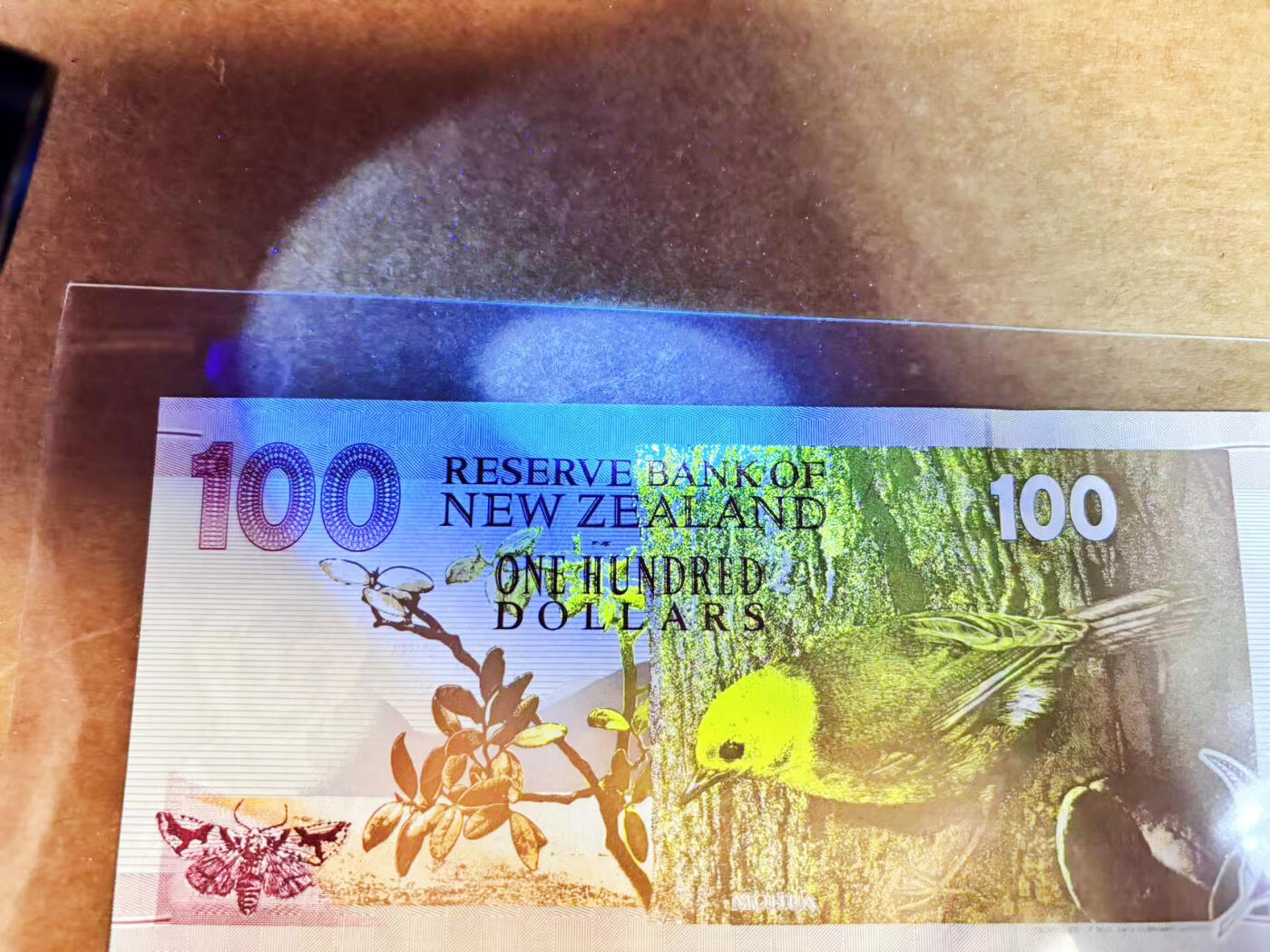 【Blue Auction】世界纸币精拍第752期——18级TOP拍卖/信誉/品质/专业/高效💫  新西兰1996年100元 诺贝尔化学奖得主卢瑟福 纸质版 UNC（边缘极轻微荧光点）