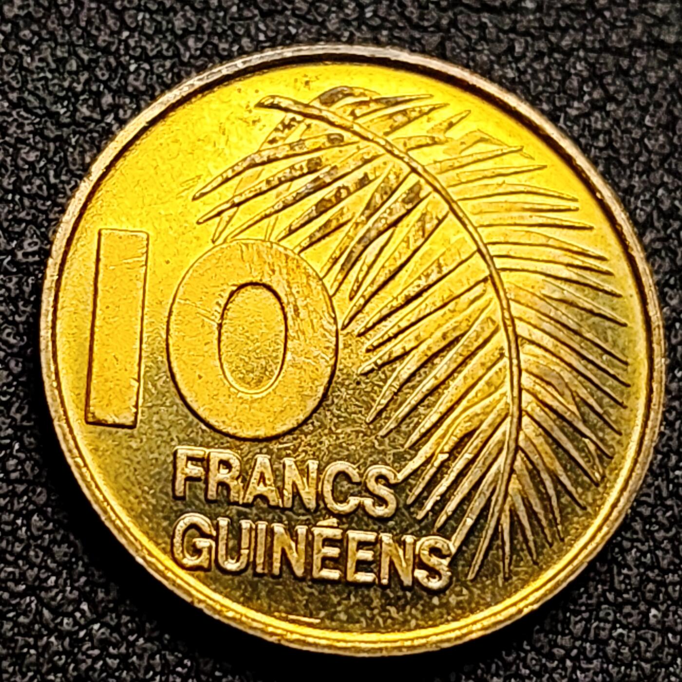 泉币菌-第132场-精品福利场 。