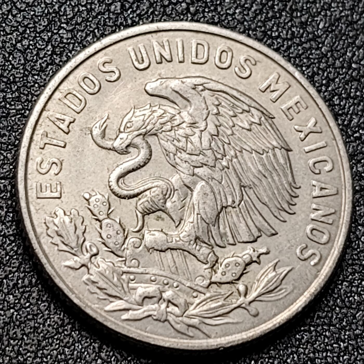 泉币菌-第131场-精品福利场 。