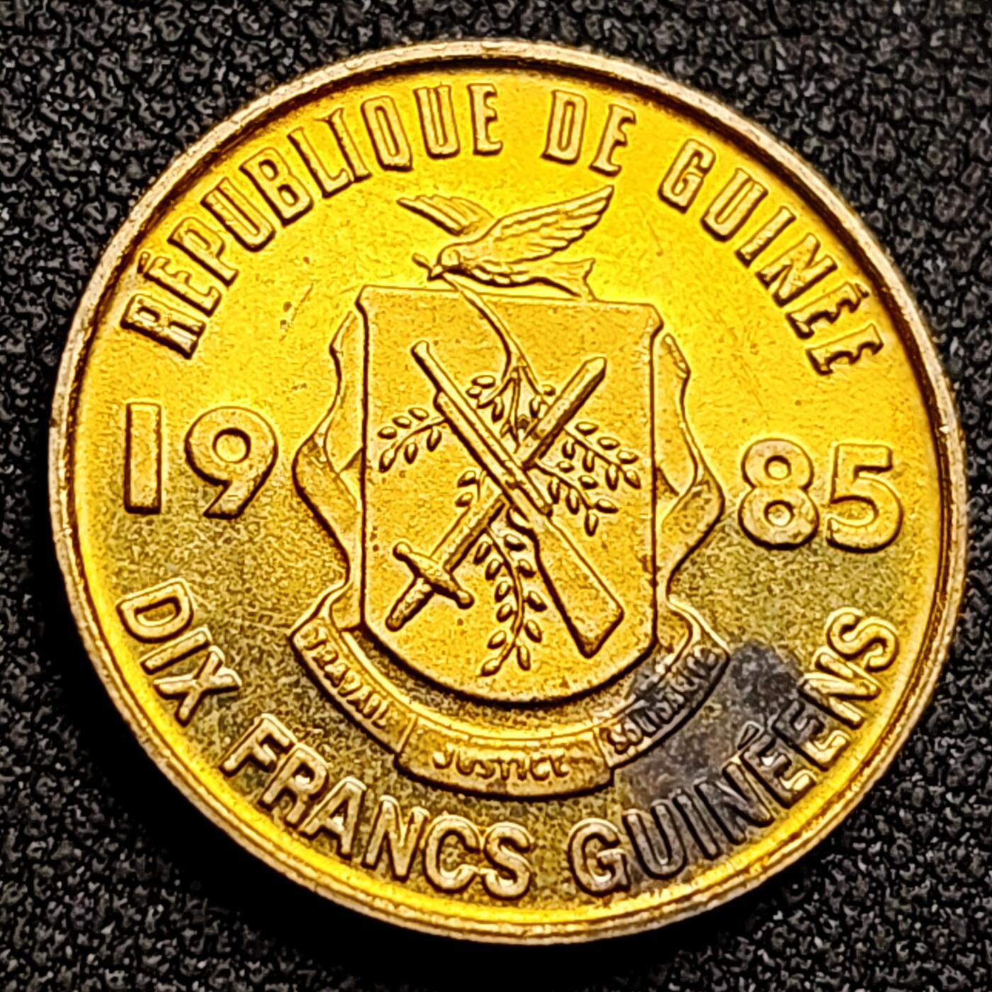 泉币菌-第132场-精品福利场 。