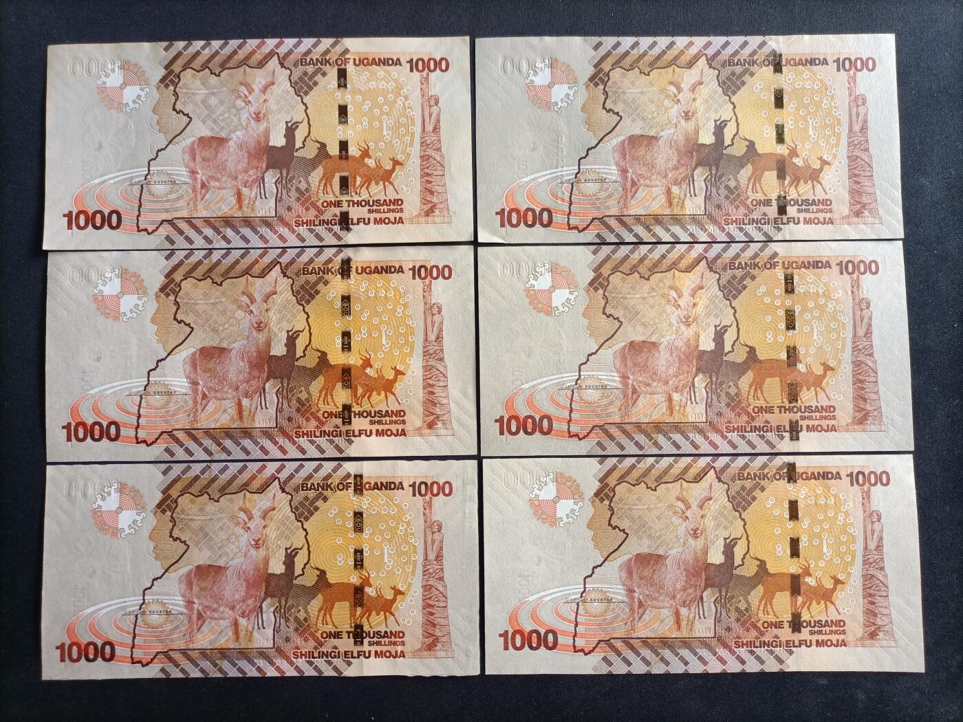 【游宝拍卖】乙巳蛇年89期 全场包邮 六六大顺特别场