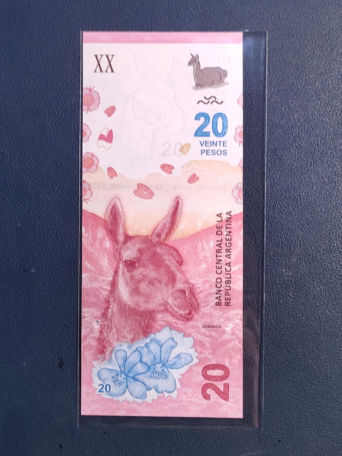 中外各国钞、纪念钞、券专场（第三十四场） 美洲阿根廷20比索纸币 原驼羊驼 2017年外国钱币全新（永恒号、双喜号）