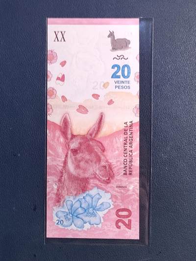 中外各国钞、纪念钞、券专场（第三十四场） - 美洲阿根廷20比索纸币 原驼羊驼 2017年外国钱币全新（永恒号、双喜号）