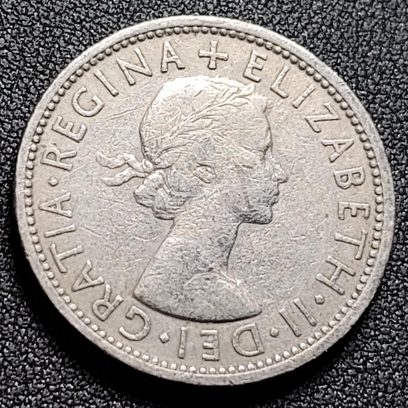 泉币菌-第132场-精品福利场 。