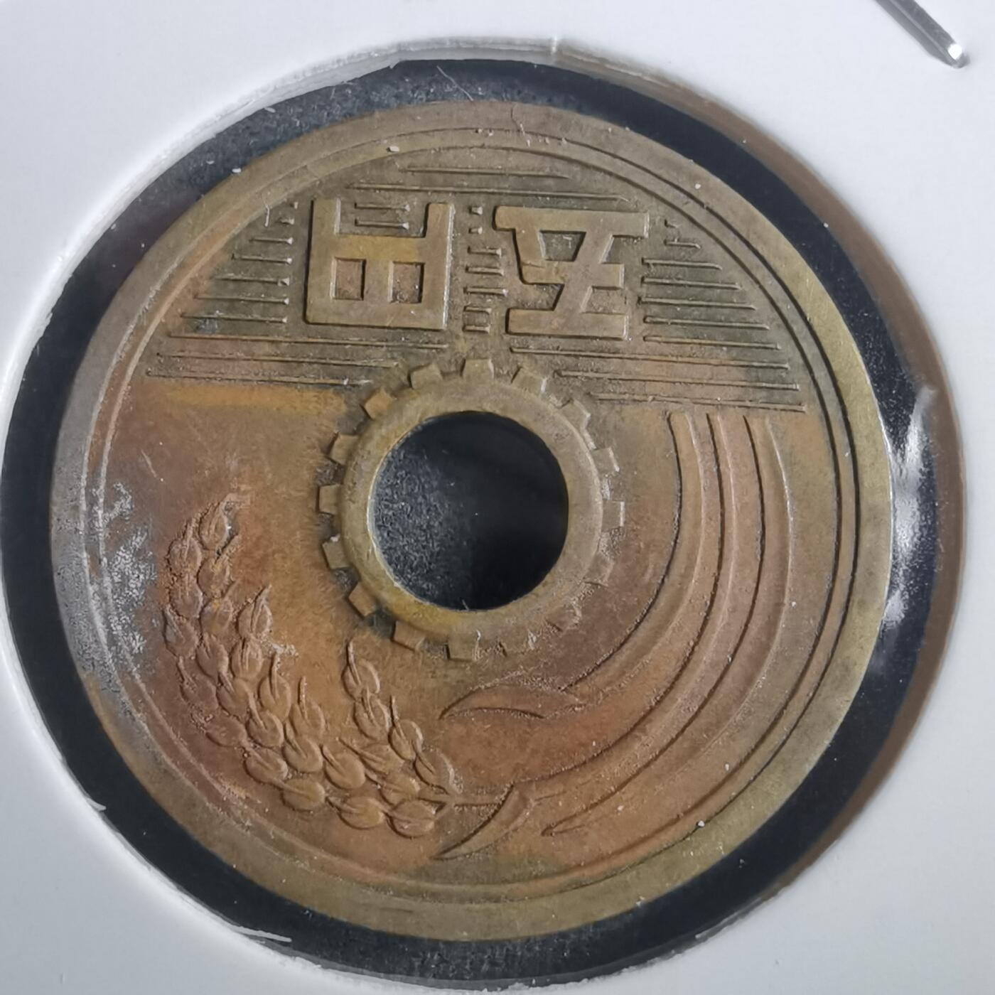 沼泽如烟--第907场 昭和三十四年五