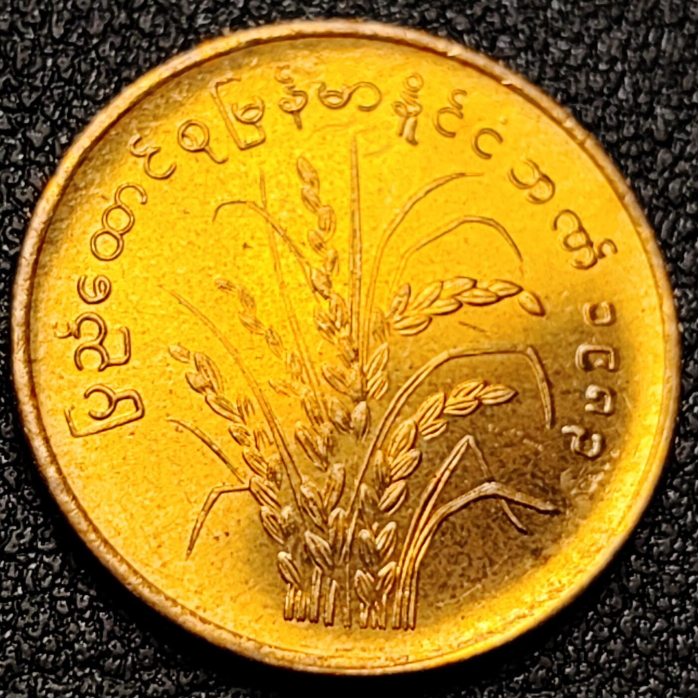 泉币菌-第131场-精品福利场 。