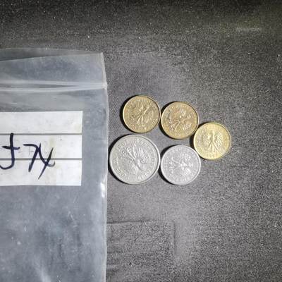 沼泽如烟--第906场 - 波兰五枚