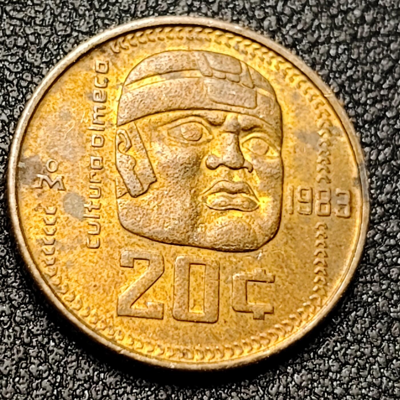 泉币菌-第131场-精品福利场 。