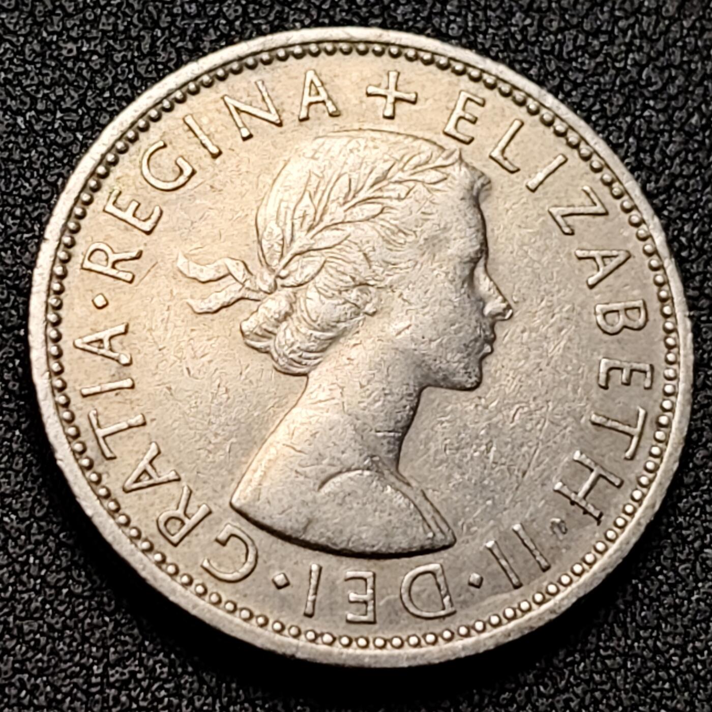 泉币菌-第131场-精品福利场 。