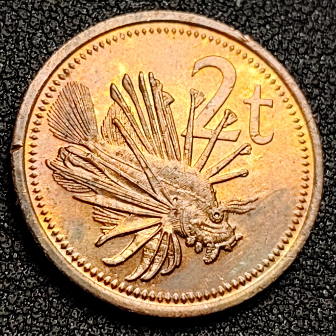 泉币菌-第132场-精品福利场 。