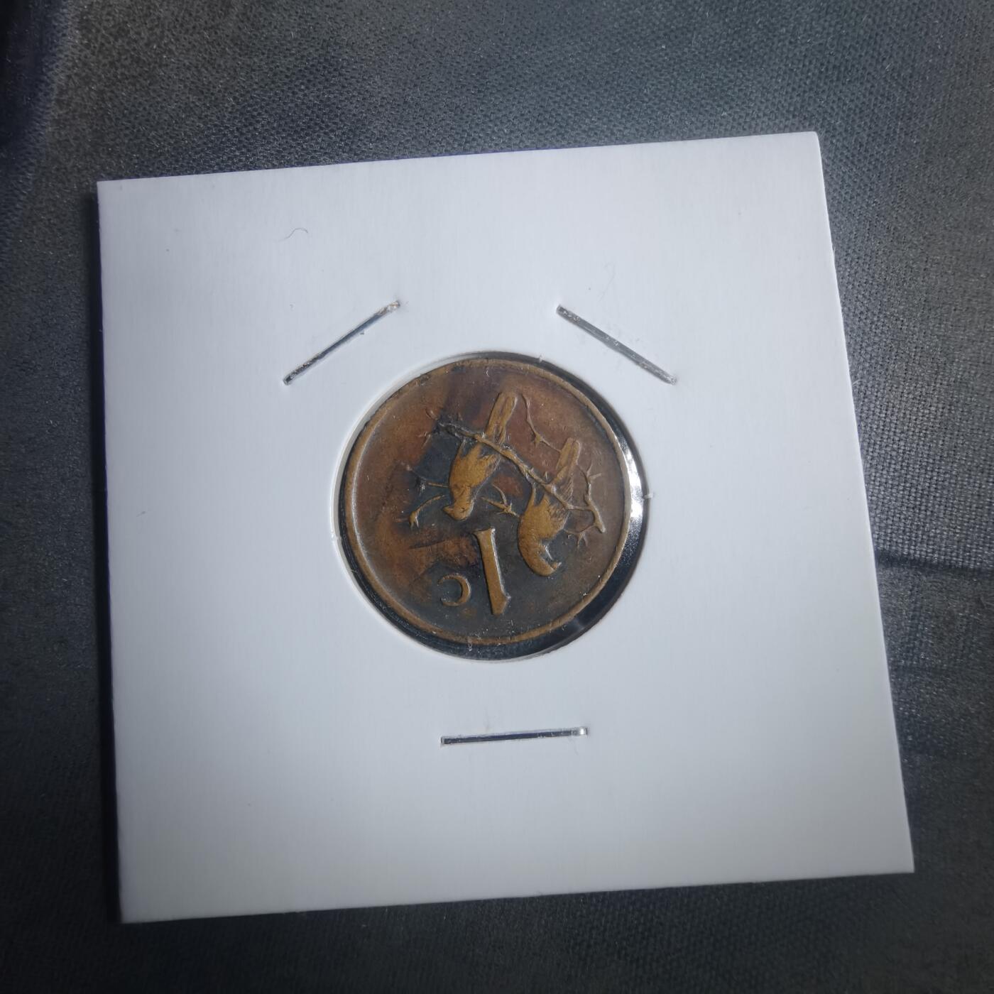 沼泽如烟--第907场 南非1966年一分