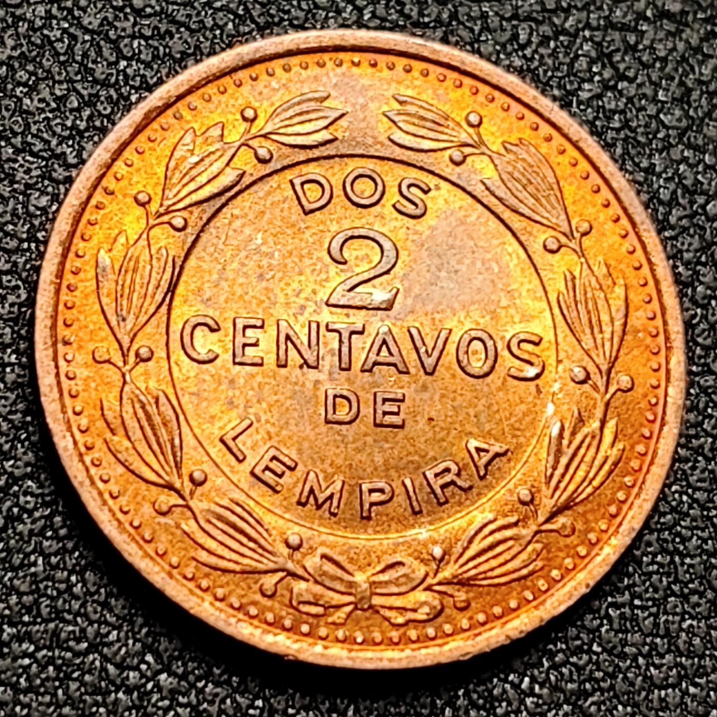 泉币菌-第132场-精品福利场 。