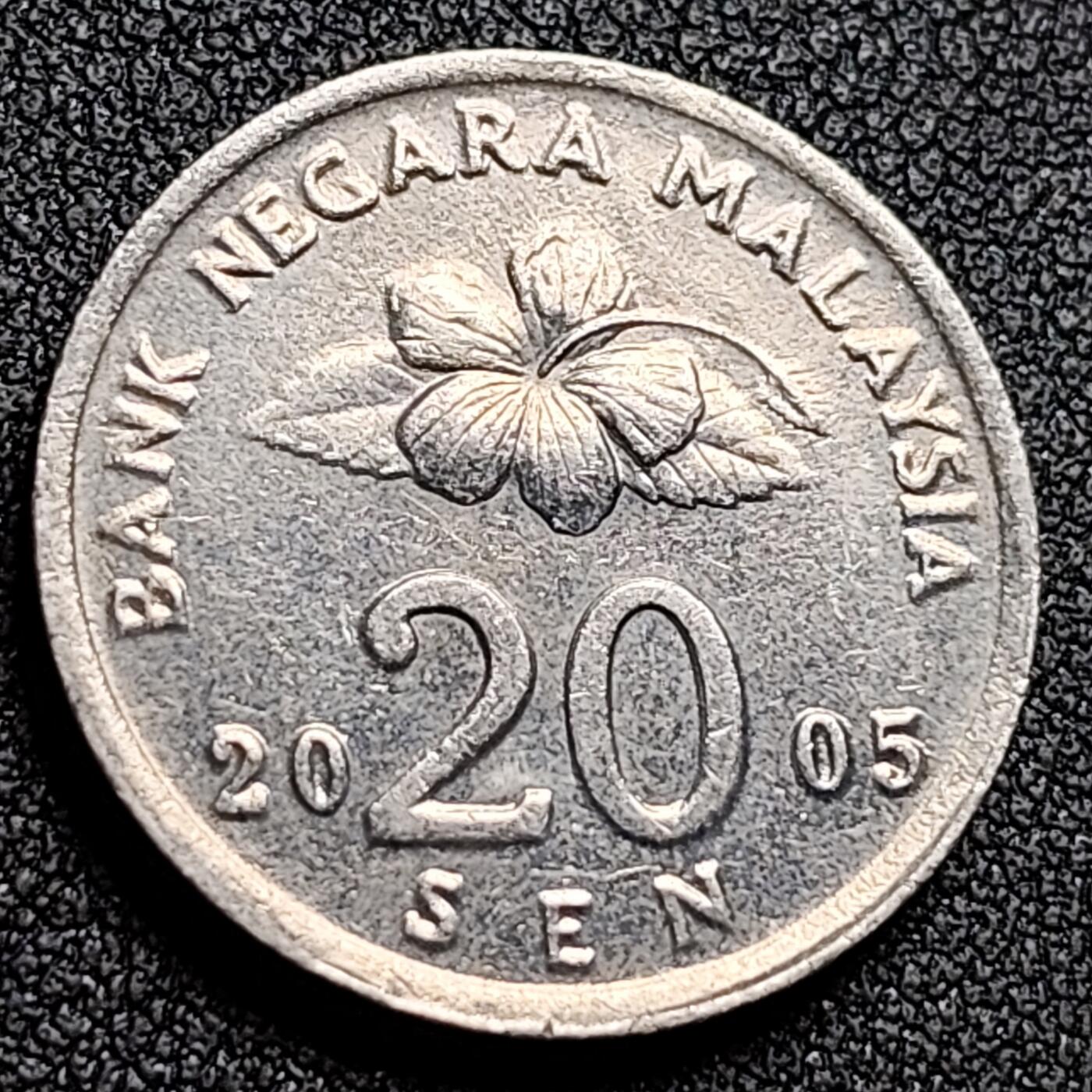 泉币菌-第132场-精品福利场 。