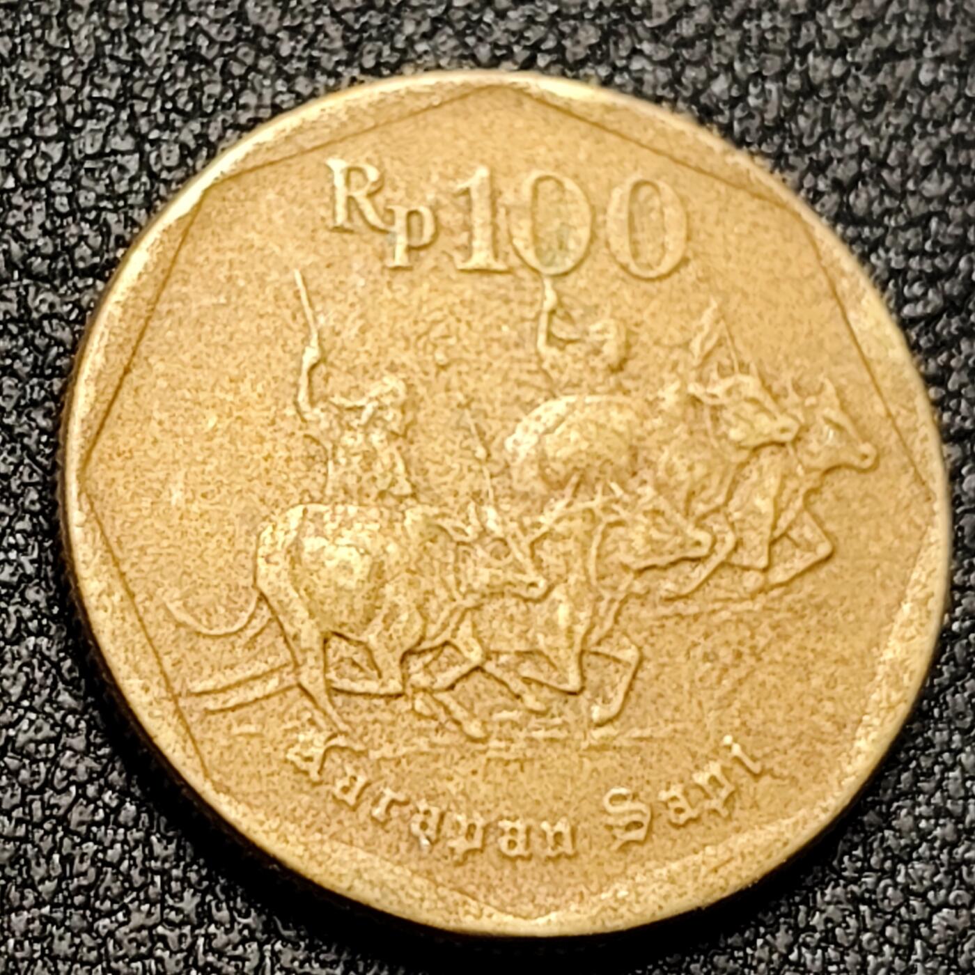 泉币菌-第131场-精品福利场 。