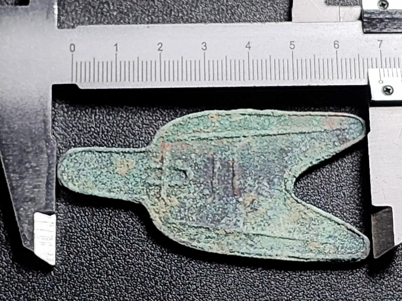 泉币菌-第132场-精品福利场