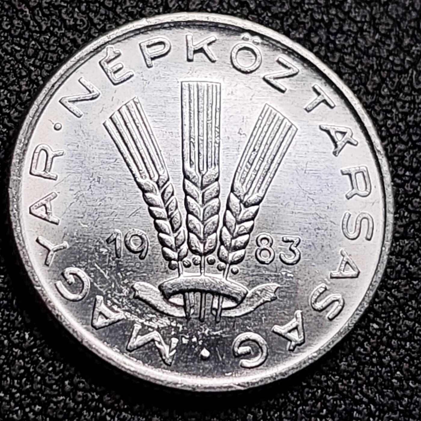 泉币菌-第132场-精品福利场 。