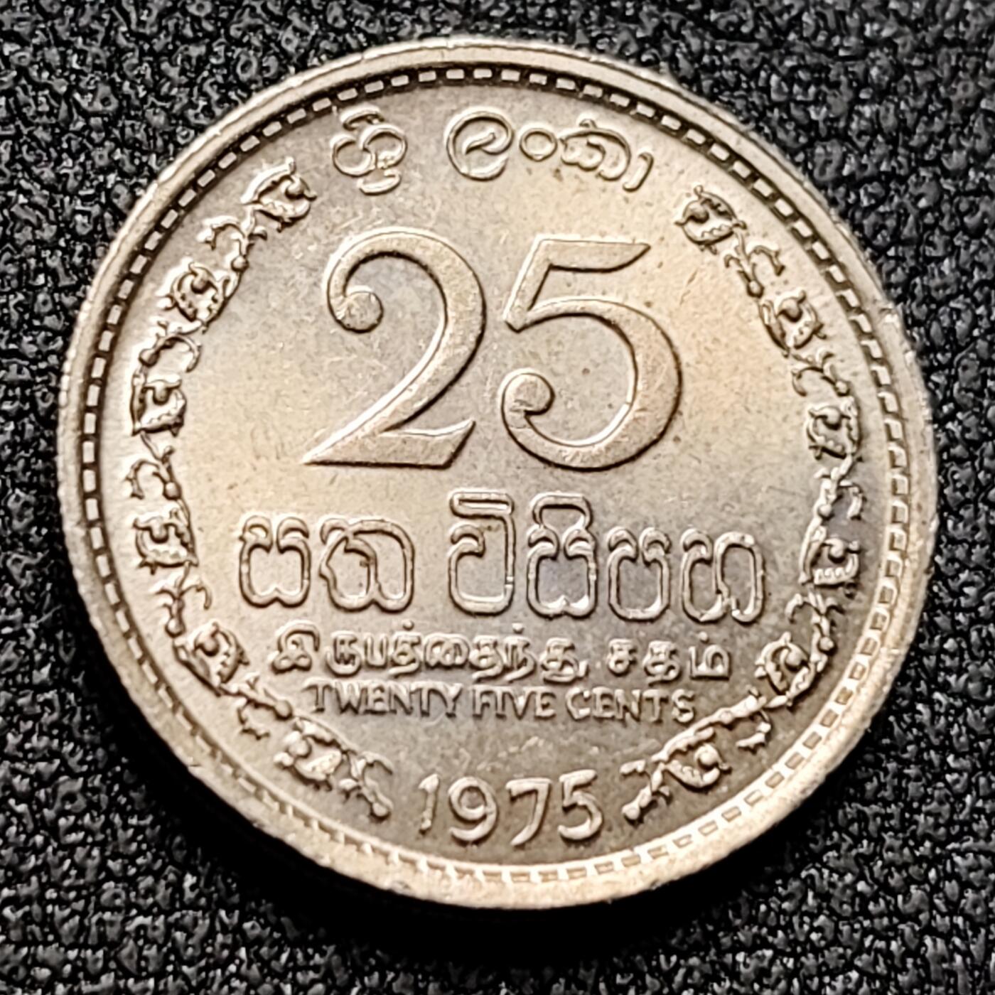 泉币菌-第133场-精品福利场 。