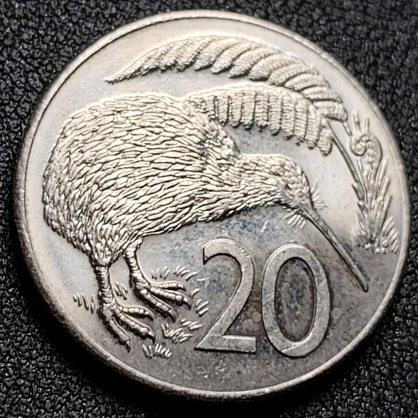 泉币菌-第130场-精品福利场 。