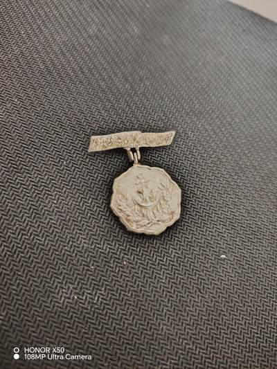 城南花开82场 - 妇人会会员章