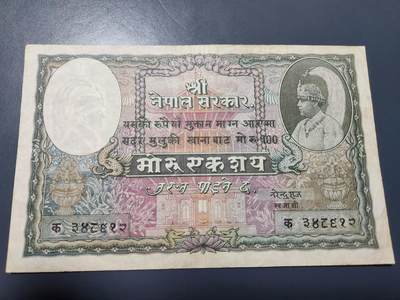 11月19号晚上8点 外国纸币自动截拍第61场 - 尼泊尔经典犀牛