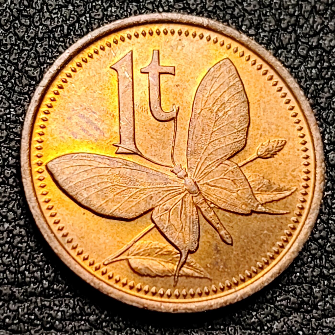 泉币菌-第133场-精品福利场 。