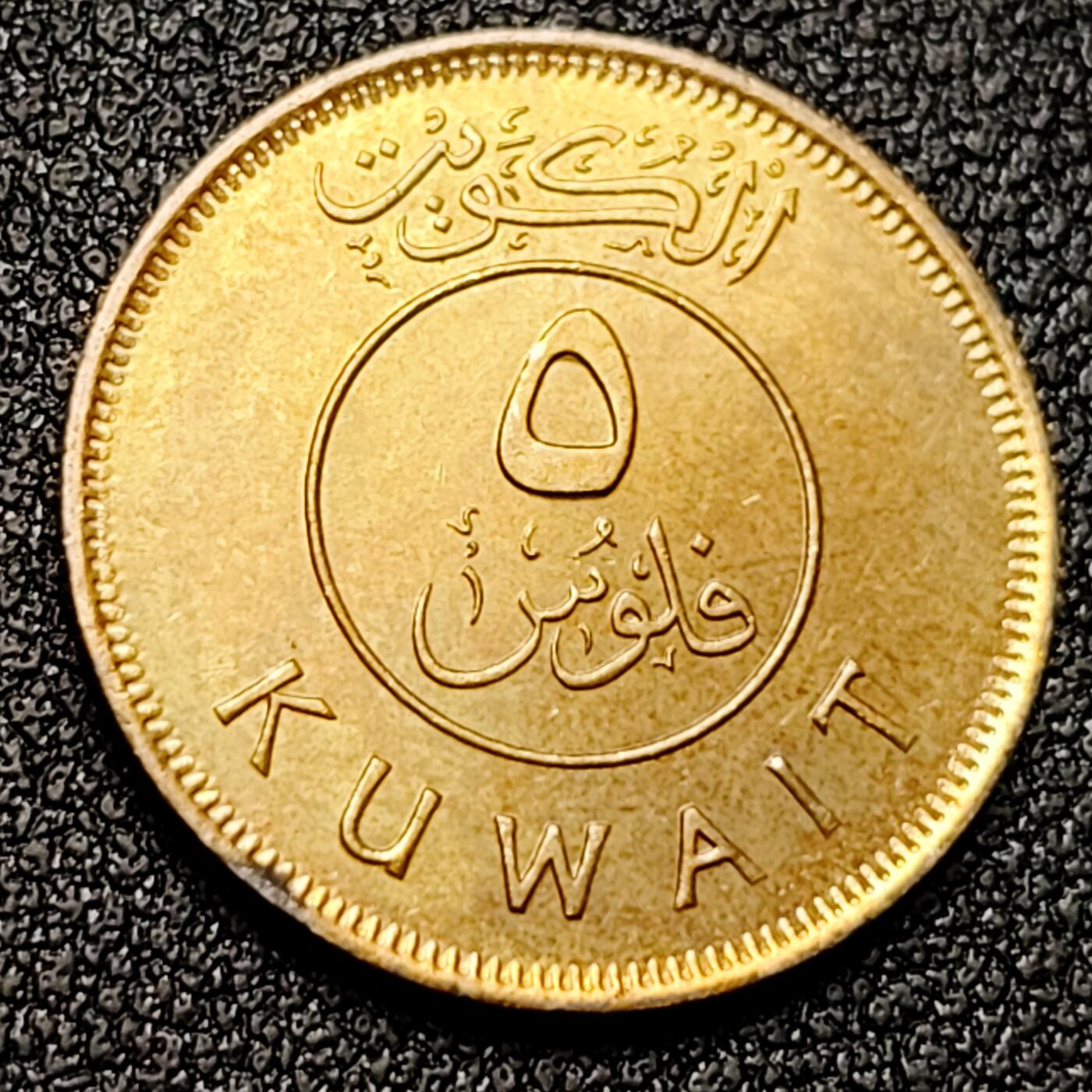 泉币菌-第131场-精品福利场 。