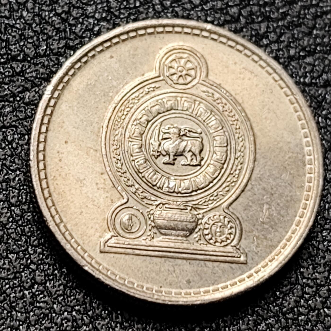 泉币菌-第133场-精品福利场 。