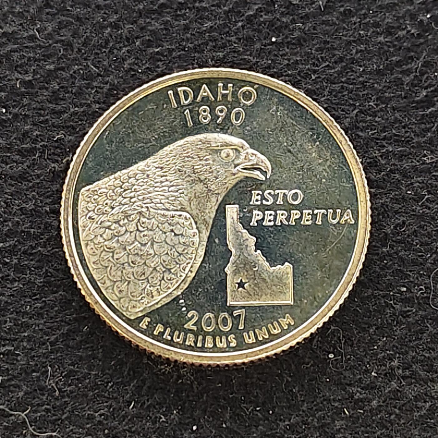 【全场包邮】纯粹捡漏拍479场（免费代拍第16场）