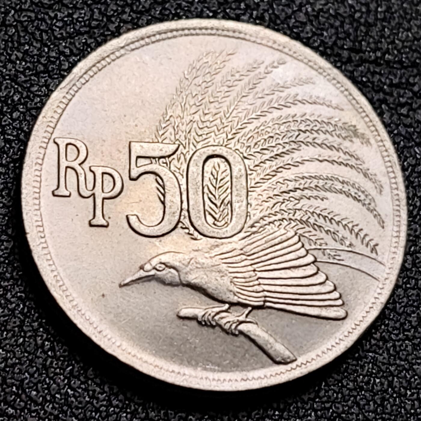 泉币菌-第132场-精品福利场 。