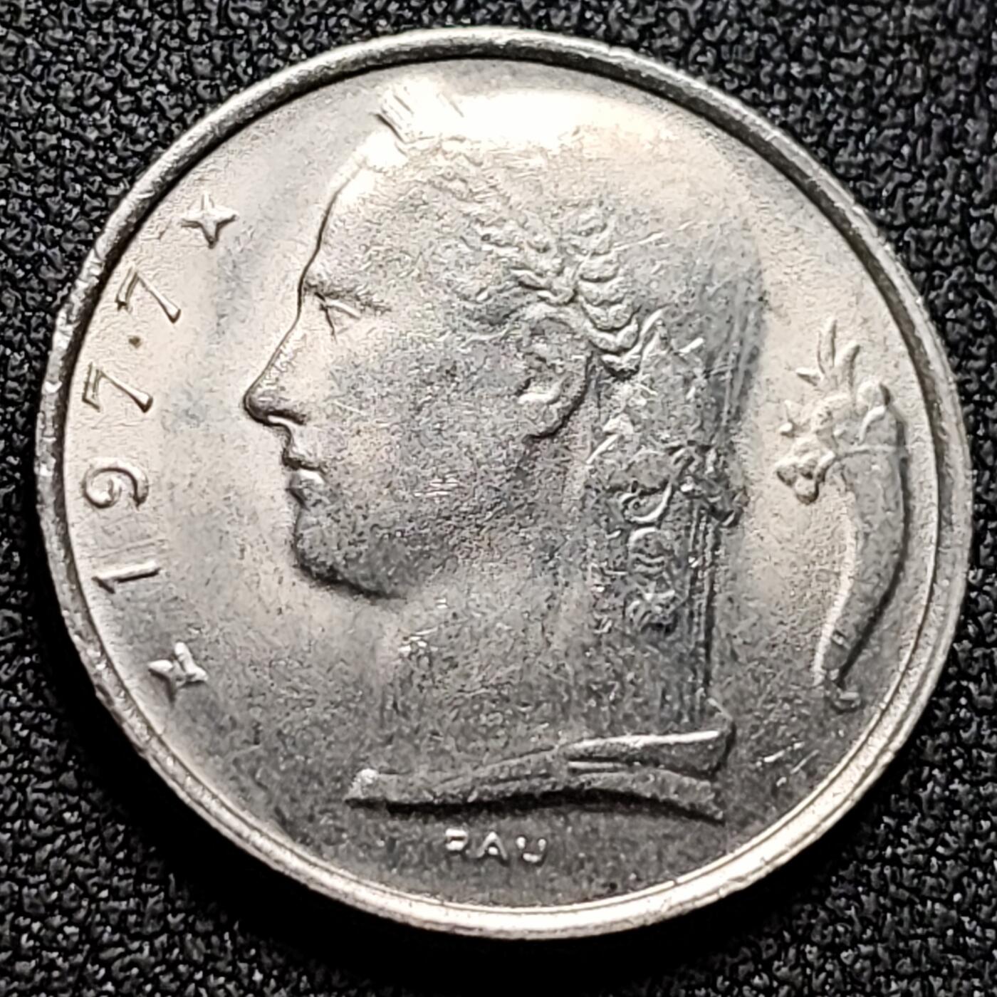 泉币菌-第132场-精品福利场 。