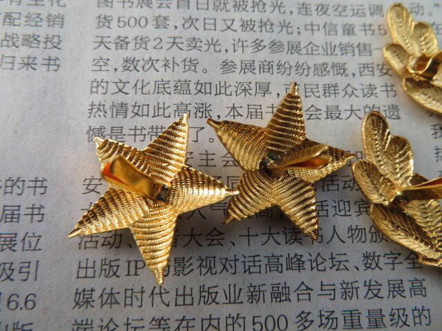 10--87早期武警将军肩章星星一对松枝一付（铜皮材质，松枝有背纹版）