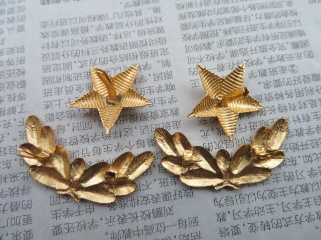 09--87早期武警将军肩章星星一对松枝一付（铜皮材质，松枝无背纹版）