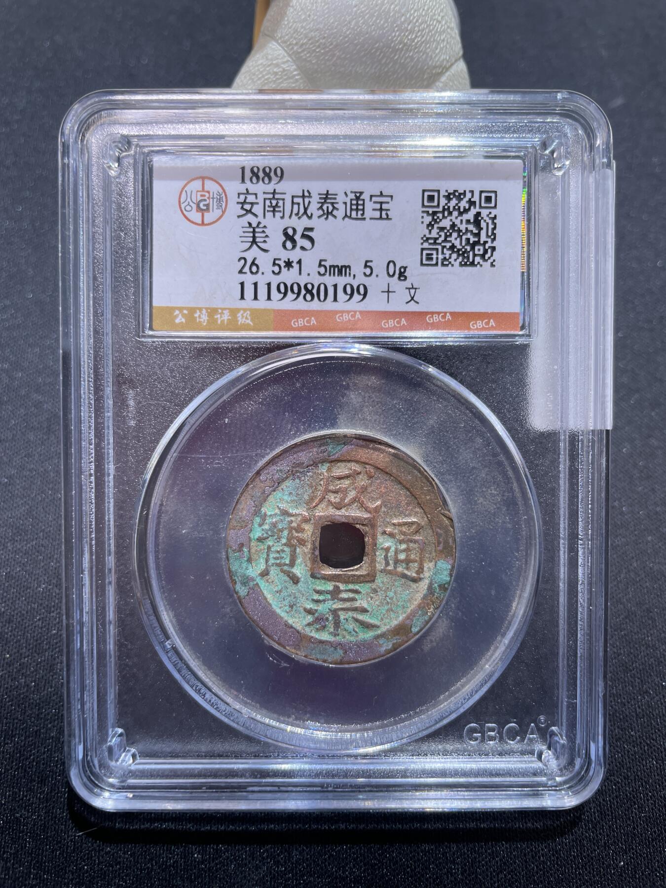 捡漏专场 安南成泰通宝