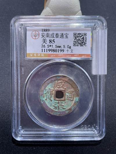 捡漏专场 - 安南成泰通宝