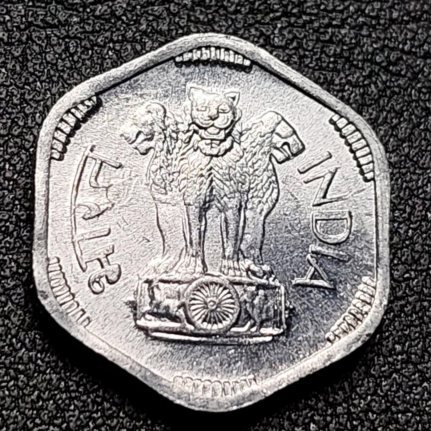 泉币菌-第133场-精品福利场 。